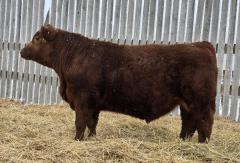 Click to View Listing Details