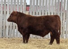 Click to View Listing Details