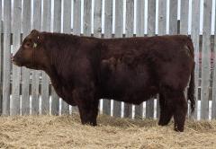 Click to View Listing Details