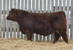 Click to View Listing Details