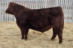 Click to View Listing Details