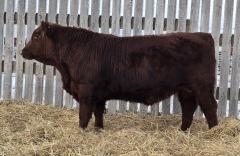 Click to View Listing Details