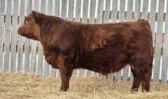 Click to View Listing Details