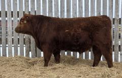 Click to View Listing Details